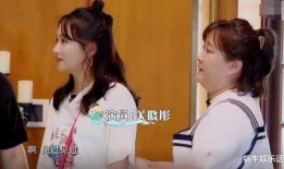 文赫吃瓜免费,揭秘娱乐圈幕后故事